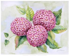 Artist Jean Plout Debuts New Watercolor Floral Series